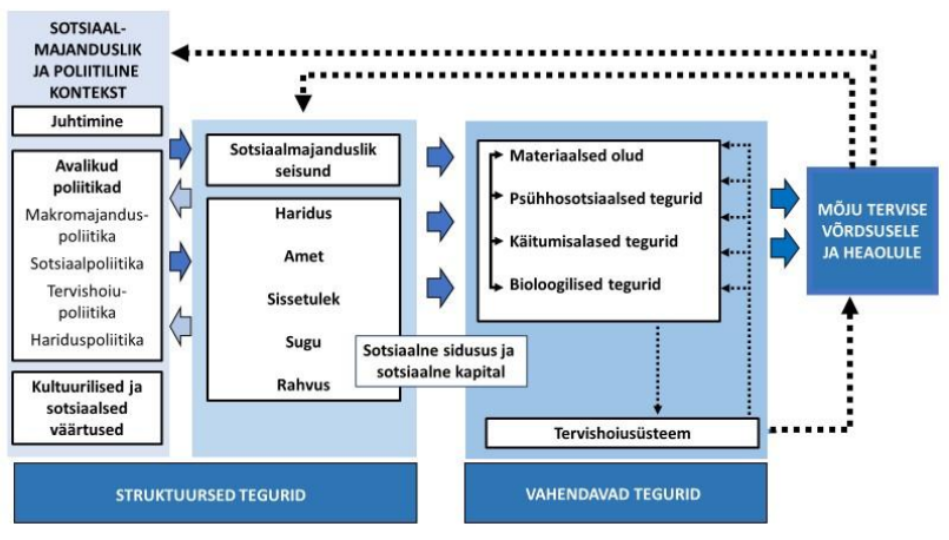 Joonis 1. Sotsiaalsed tervisemõjurid