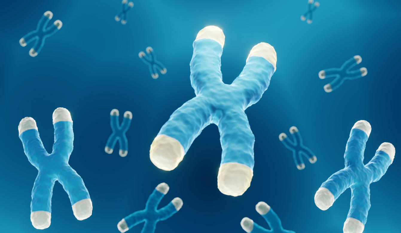 Telomeerist telomeerini järjestatud inimese genoom