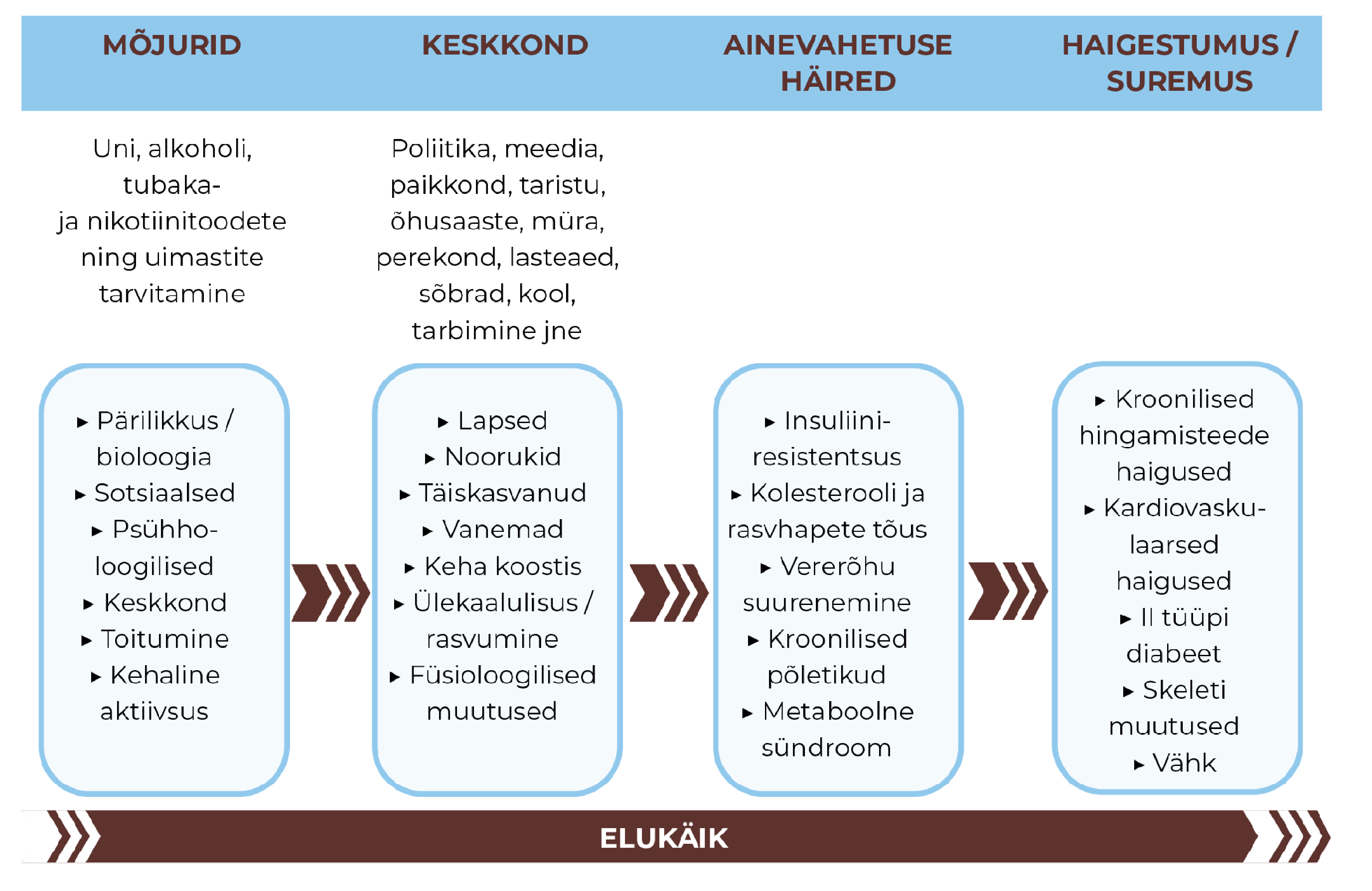 Joonis 82. Krooniliste haiguste kujunemine ja sellega seotud hilisem haigestumine. Allikas: Kohandatud allikast Harro et al. 2015