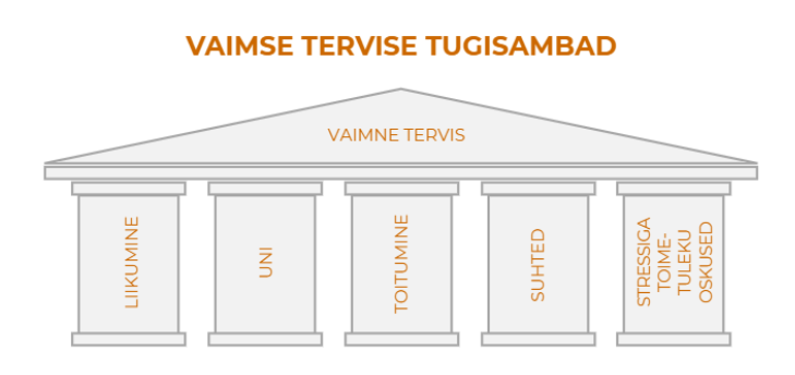 vaimse tervise tugisambad