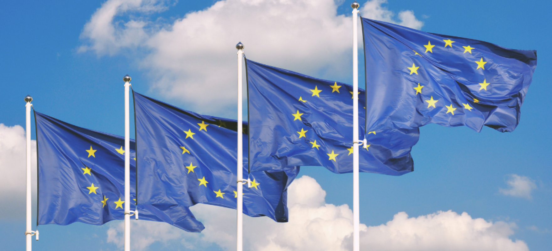 Euroopa Liidu lipud