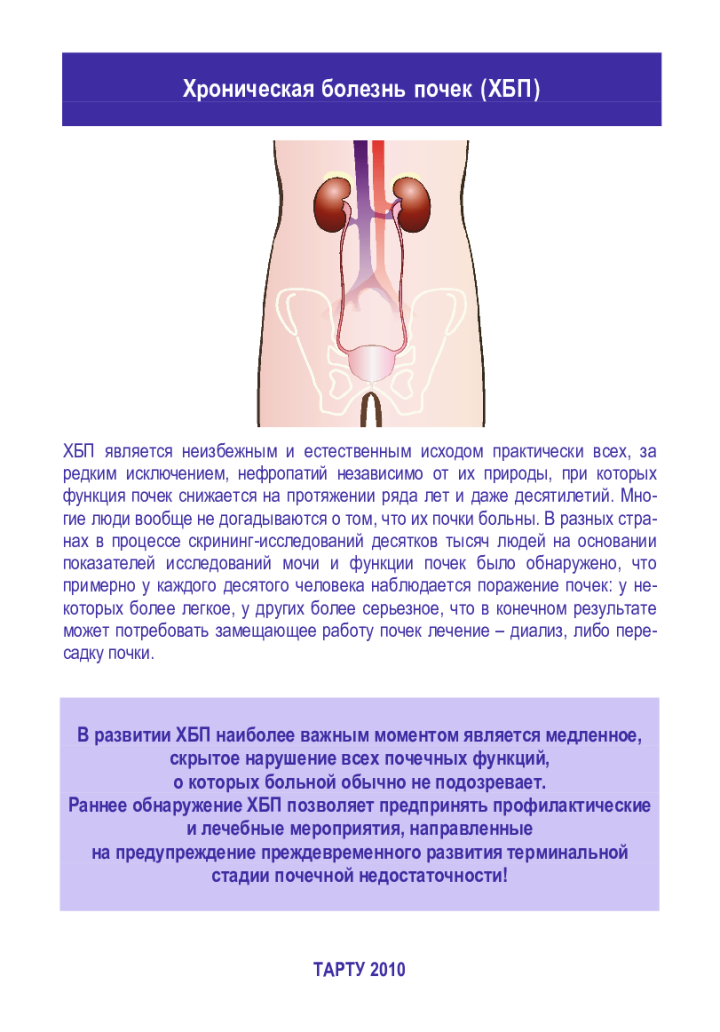 Хроническая болезнь почек (ХБП)