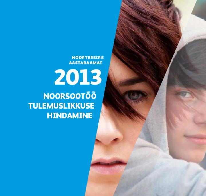 Noorteseire aastaraamat 2013. Noorsootöö tulemuslikkuse hindamine