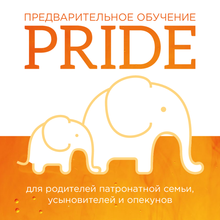 Предварительное обучение PRIDE