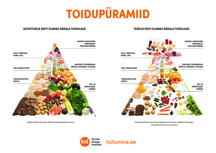 vordlev_toidupyramiid.pdf