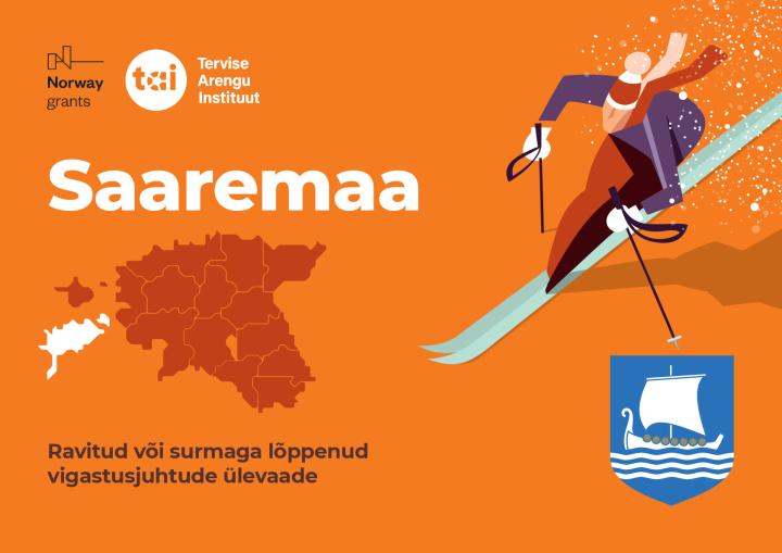 Vigastused-Saaremaa.pdf