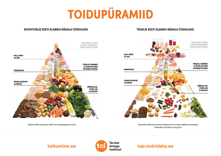 vordlev_toidupyramiid.pdf