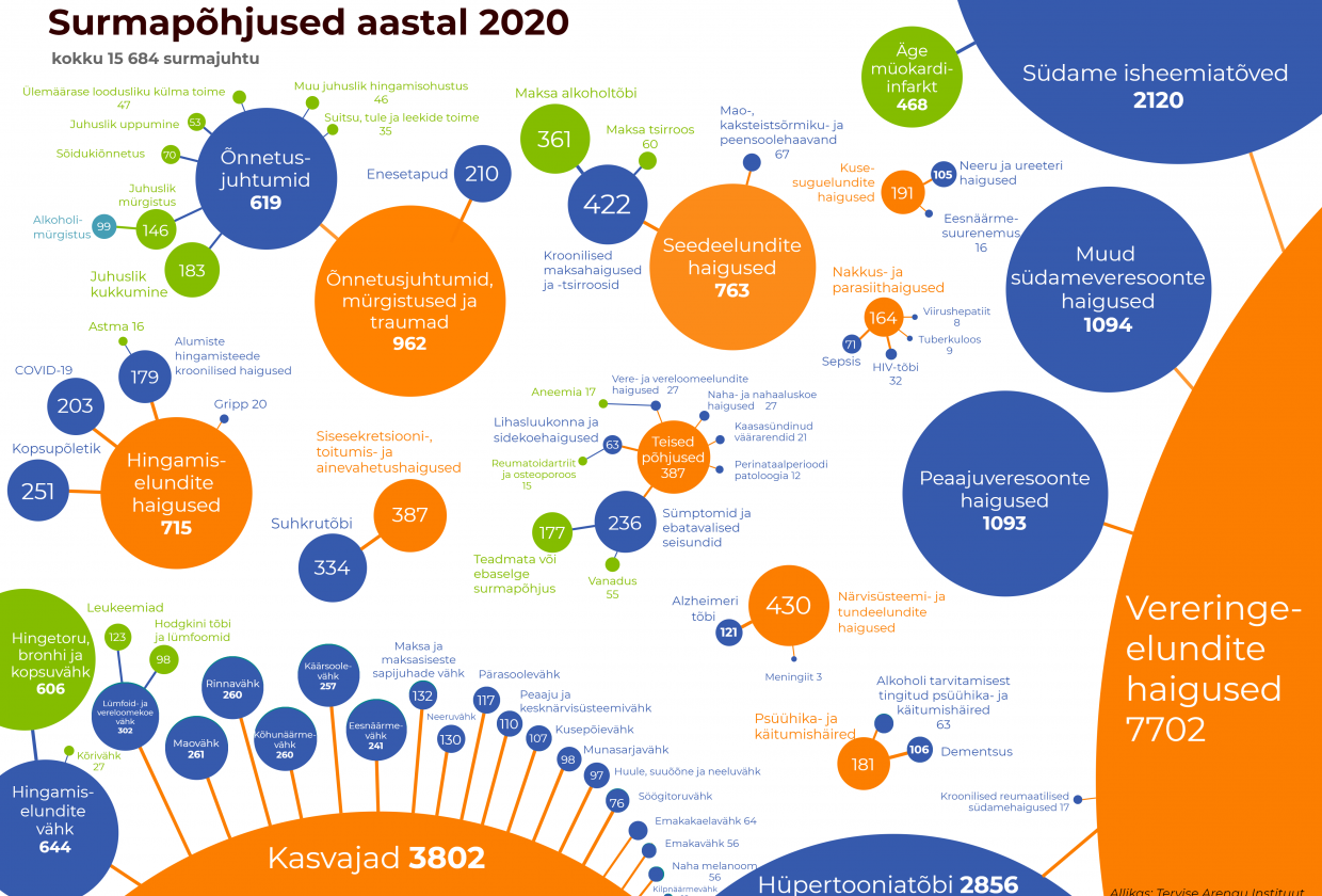 surmapõhjused 2020