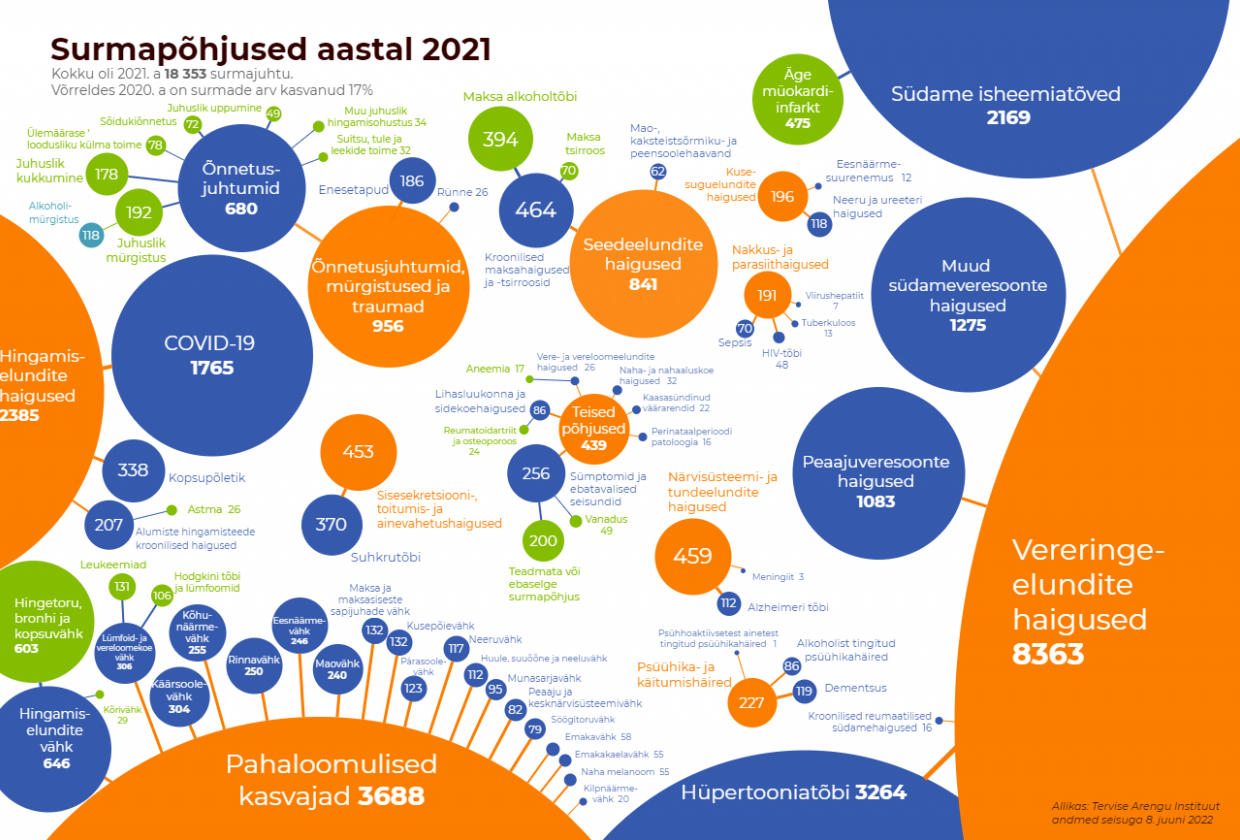 surmapõhjused 2021