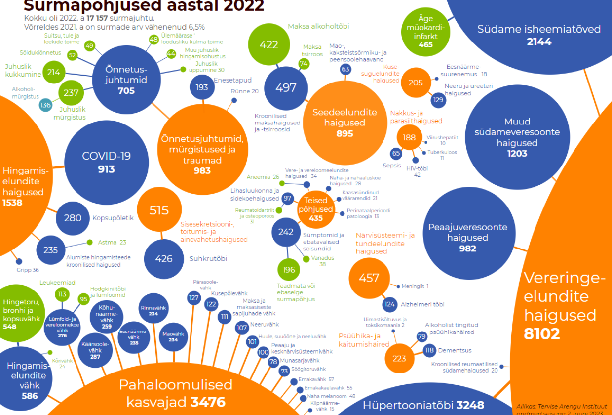 Surmapõhjused 2022